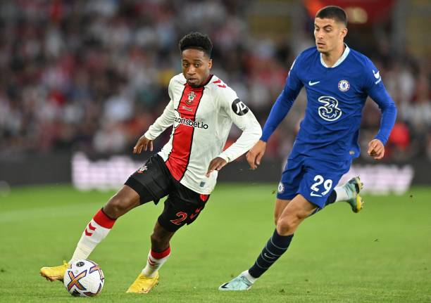 人才的概率 人才的概率